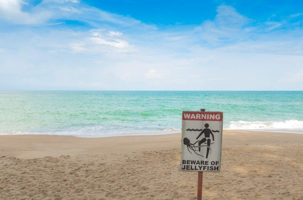 Don’t take the p***